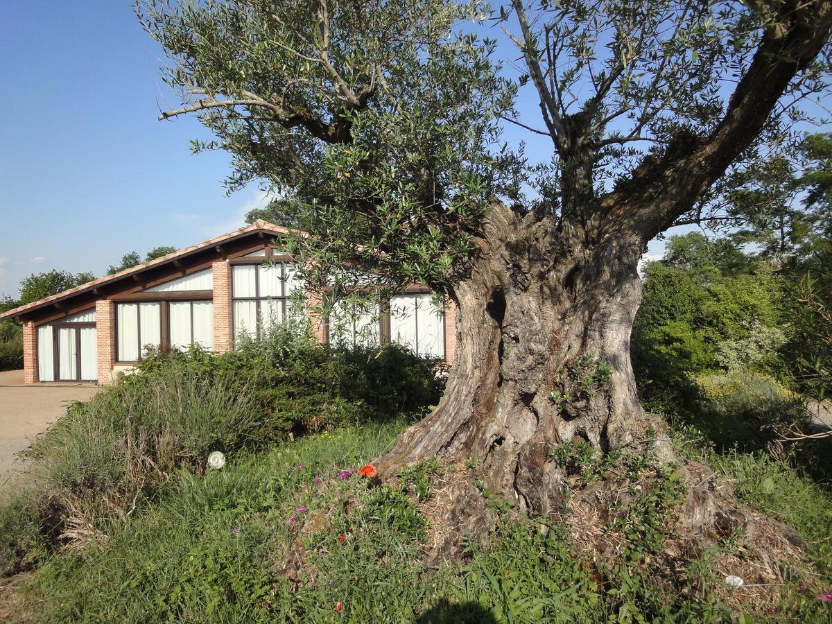 Chalet Domaine De Combe Ramond Veilhes Exterior photo
